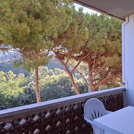Apartamento Napoleon - Mv *